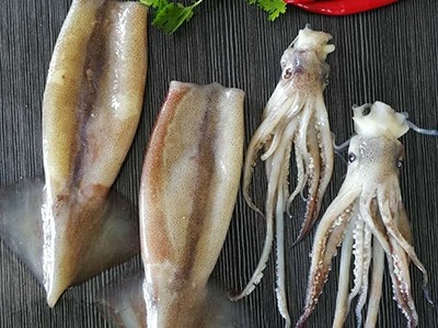 What is the nutritional value of squid?