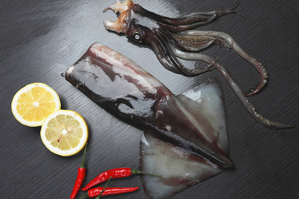Frozen squid gutted