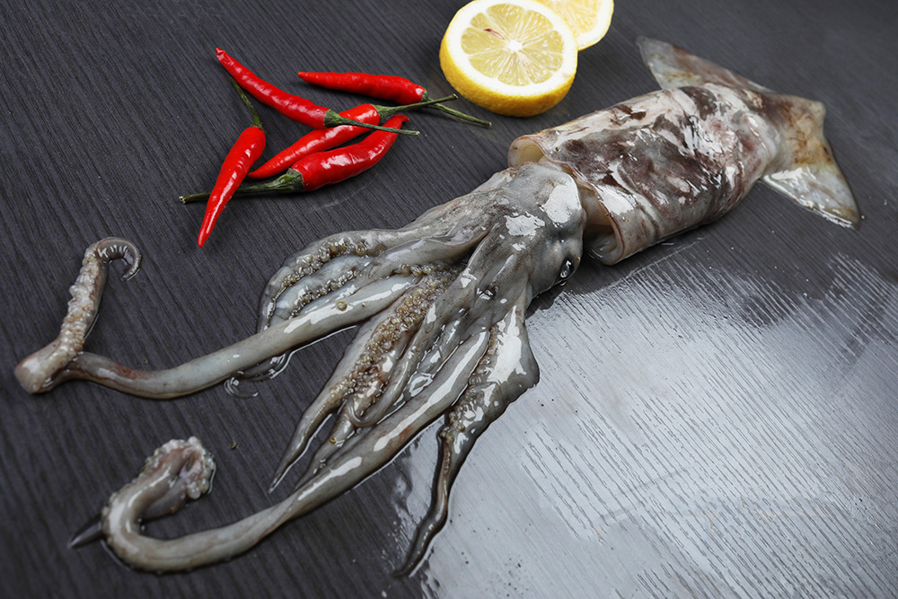 Frozen squid whole round