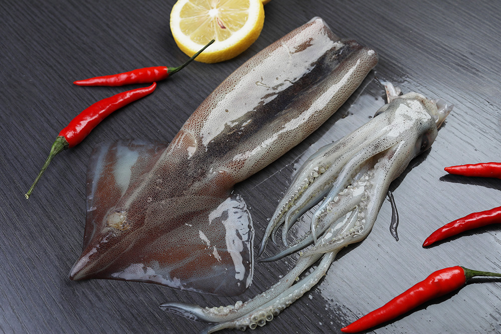 Frozen squid gutted